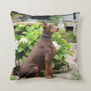 Doberman - Red - Rocky - Carmel Church Garden Cushion