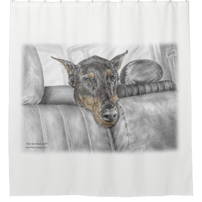 Doberman Riding in Car Shower Curtain (Front)