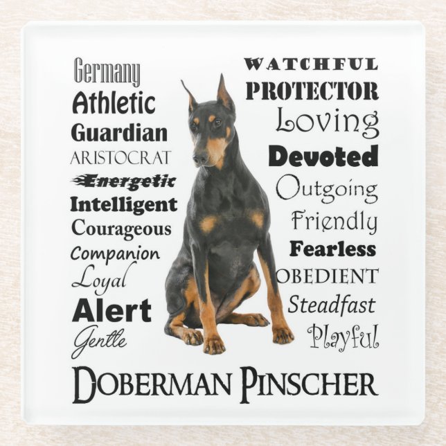 Doberman Traits Glass Coaster (Front)