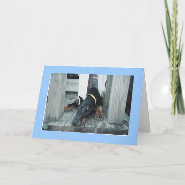 Doberman, Wish you were here Card (Front)