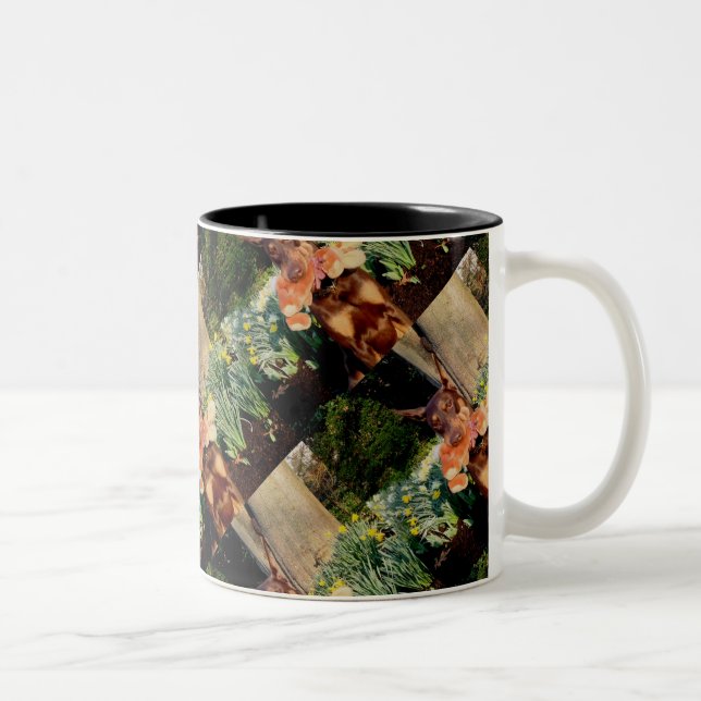 Doberman with Rabbit Two-Tone Coffee Mug (Right)