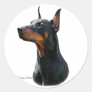 Dobermann Pinscher head-black Sticker