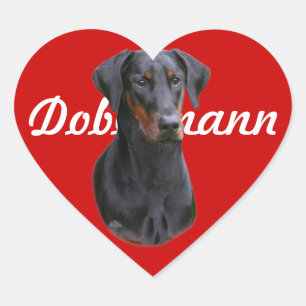Dobermann Pinscher natural ear Sticker