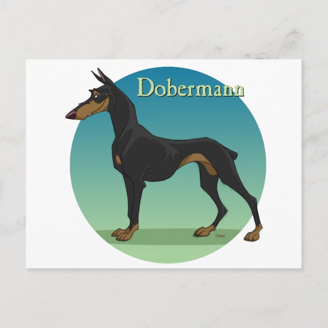 dobermann postcard (Front)
