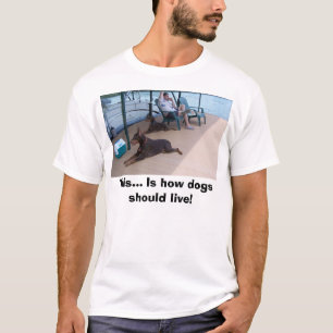 Dobermans, This... Is how dogs should live! T-Shirt