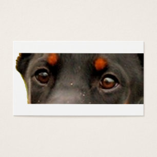 dobie eyes