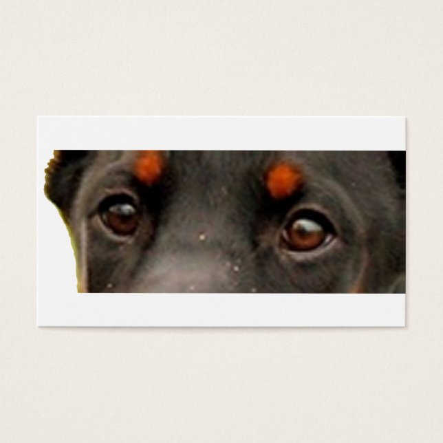dobie eyes (Front)