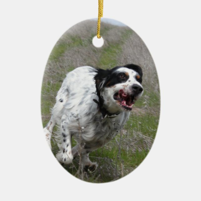 Doc, English Setter Ceramic Tree Decoration (Front)