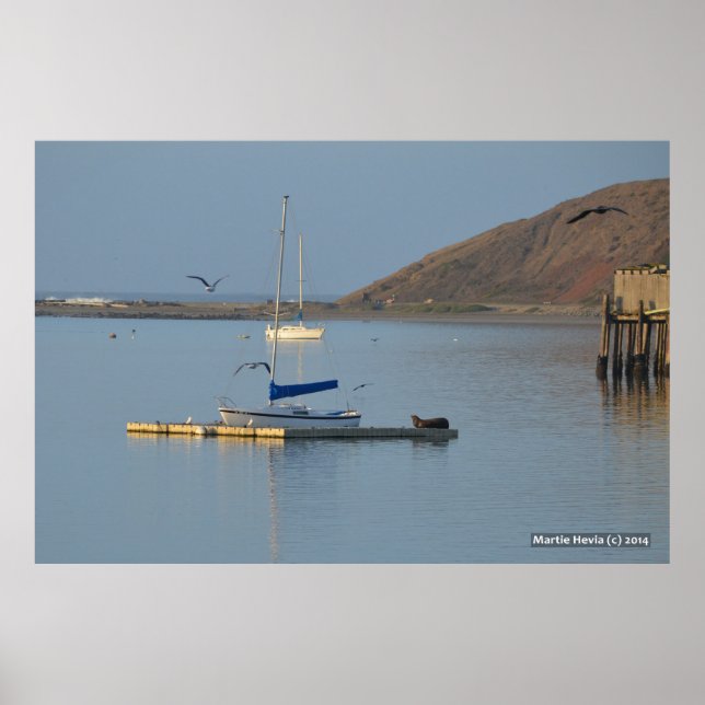 Dock Seal Wakes Poster (Front)