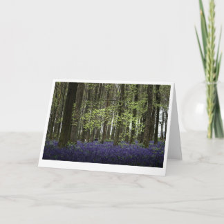 Dockey Wood Bluebells Bedfordshire (7502) Card