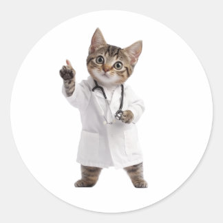 Doctor Cat Classic Round Sticker