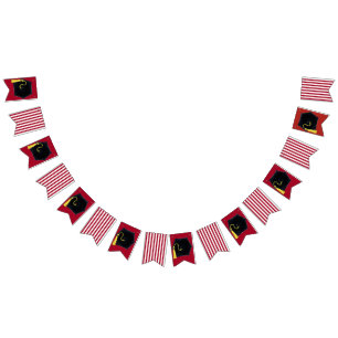 Doctor Medical School Graduation Party Bunting