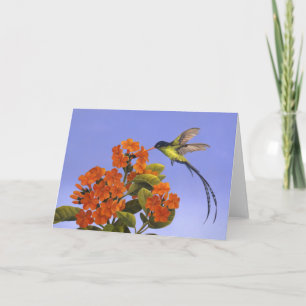 Doctorbird - National bird of Jamaica Card