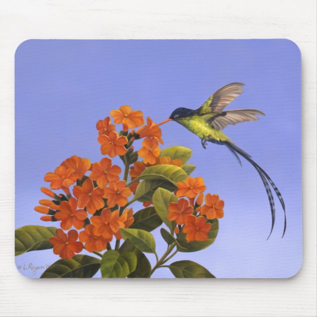 Doctorbird - National bird of Jamaica Mouse Mat (Front)