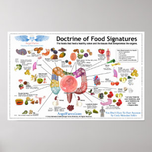 Doctrine of Food Signatures Poster