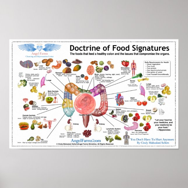 Doctrine of Food Signatures Poster (Front)