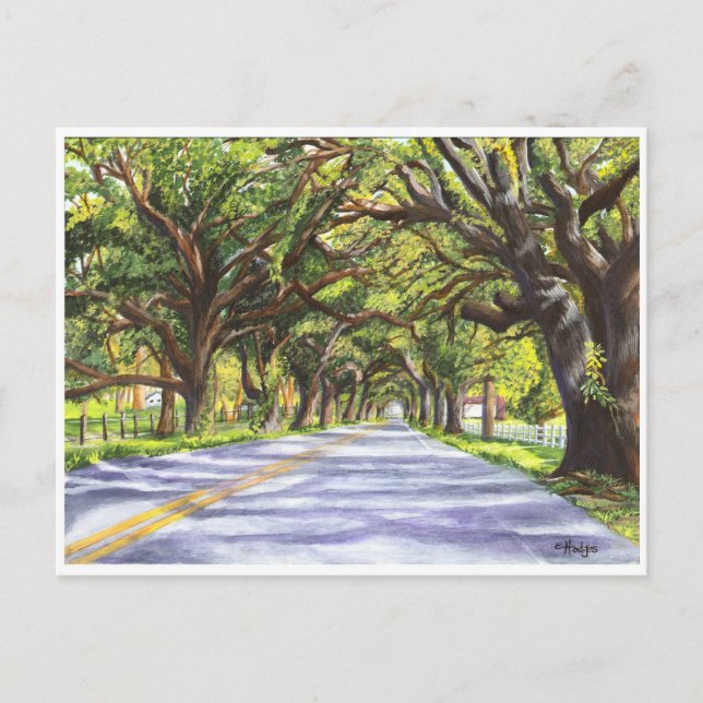 Docville Oaks Postcard (Front)