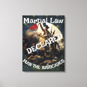 DOD DOJ EPA TRUMP DECLARES MARTIAL LAW BARRICADES CANVAS PRINT