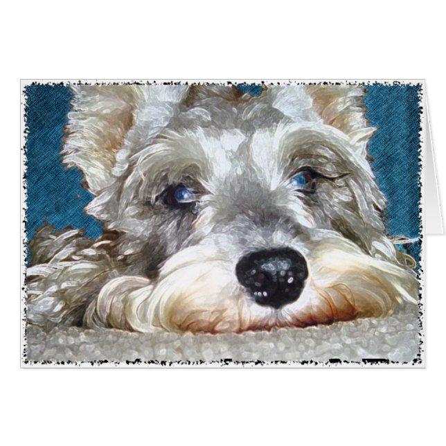 DOD: Mini German Schnauzer So Cute (Front Horizontal)