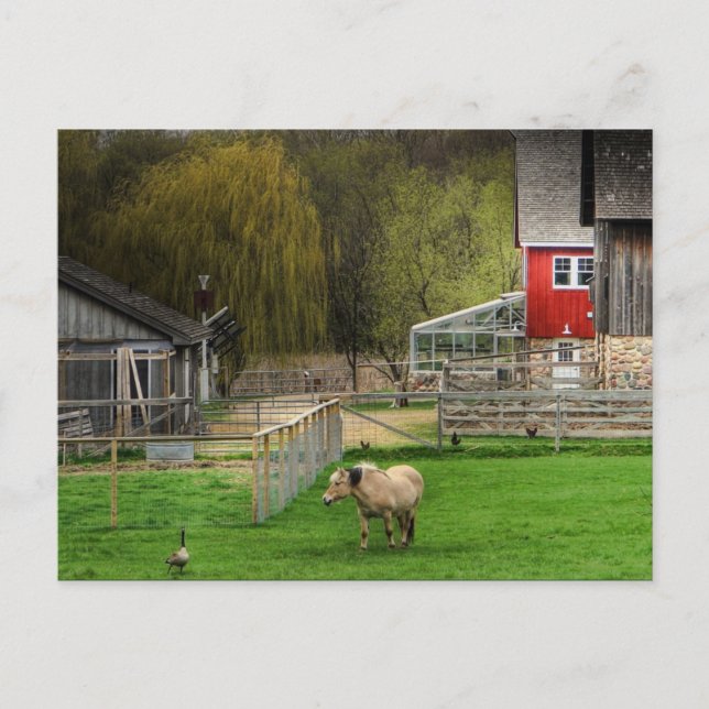 Dodge Nature Centre Postcard (Front)