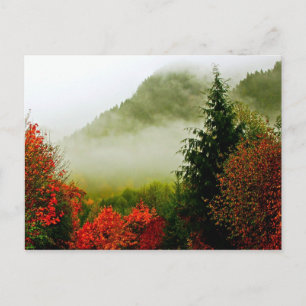 Dodge Road Mist (bright) Postcard