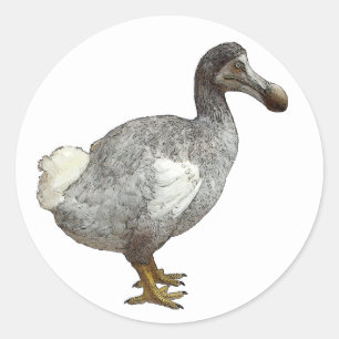 Dodo Bird Stickers