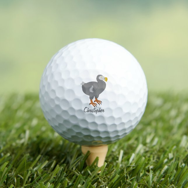 Dodo Design Golf Balls (Insitu Tee)