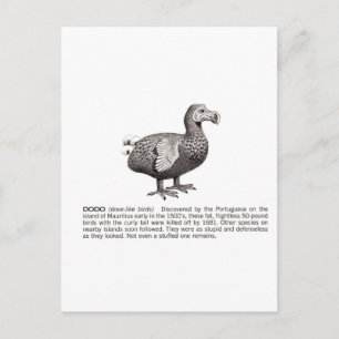 dodo postcard
