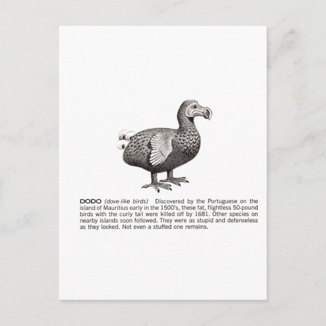 dodo postcard (Front)