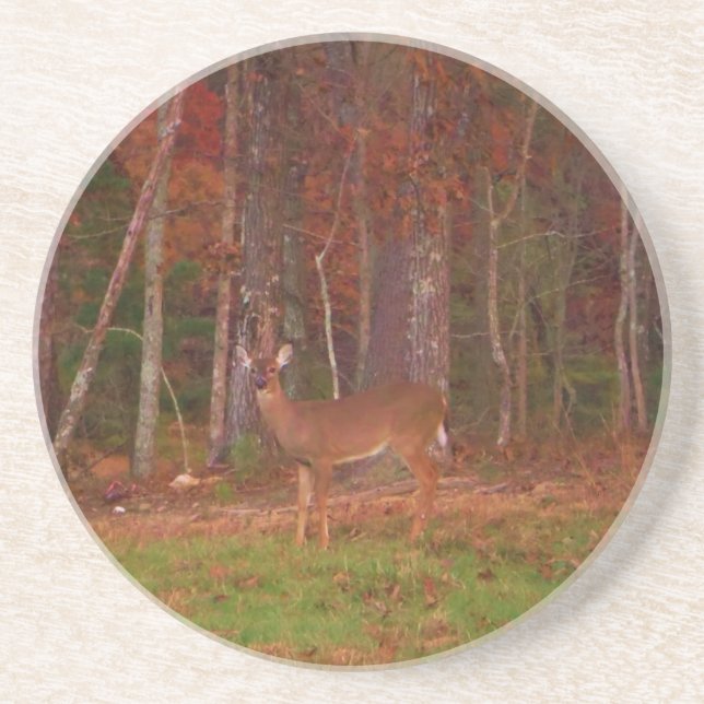 Doe a Deer in Lake Arrowhead Coaster (Front)
