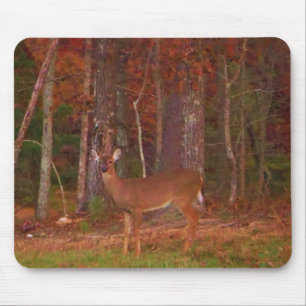 Doe a Deer in Lake Arrowhead Mouse Mat