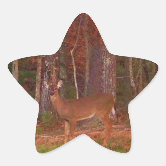 Doe a Deer in Lake Arrowhead Star Sticker (Front)