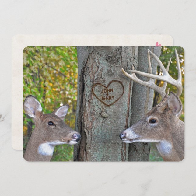 doe and buck by tree with carved heart anniversary invitation (Front/Back)