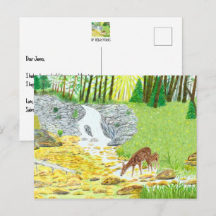 Doe and Deer Postcard