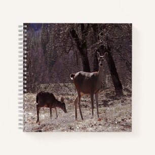 Doe and fawn.... notebook
