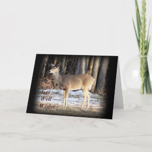 Doe Deer 5060- customise any occasion Card