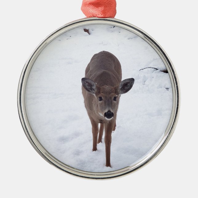 Doe deer in the snow Montana Wildlife photography Metal Tree Decoration (Front)