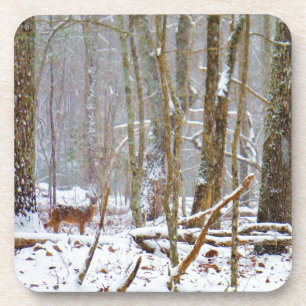 Doe in the snow, Deer in Lake Arrowhead Coaster