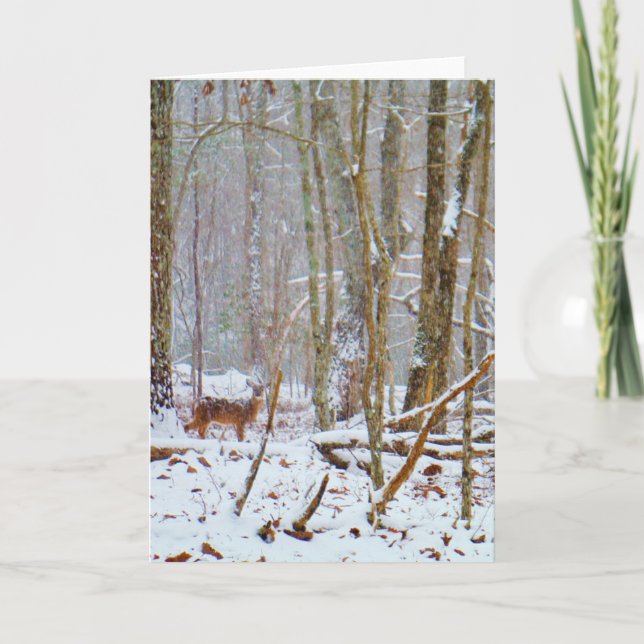 Doe in the snow, Deer in Lake Arrowhead Holiday Card (Front)