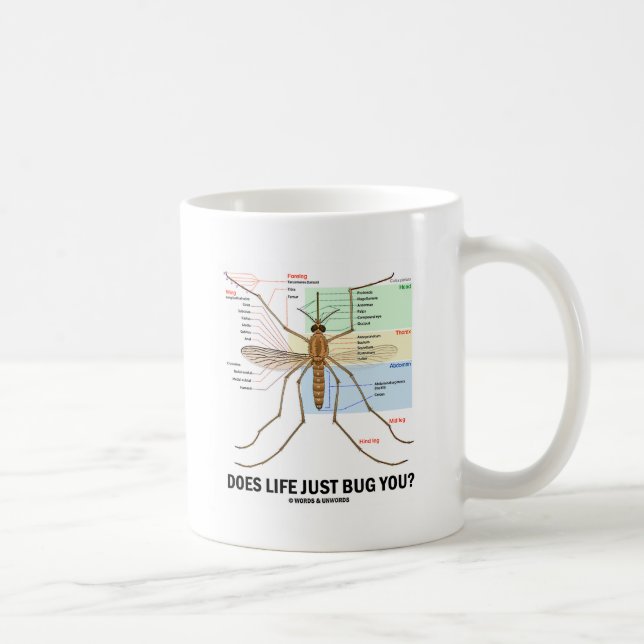 Does Life Just Bug You? (Mosquito Anatomy) Coffee Mug (Right)