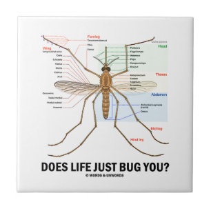 Does Life Just Bug You? (Mosquito Anatomy) Tile