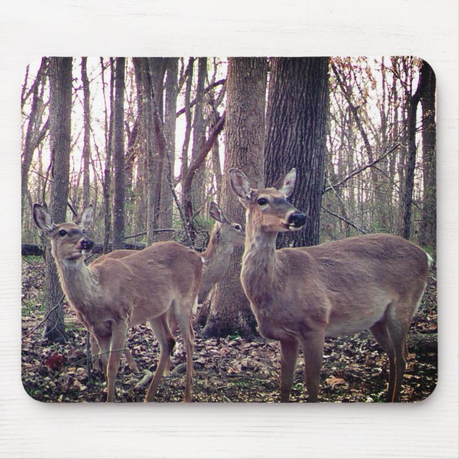 Does on the Farm Mouse Mat (Front)