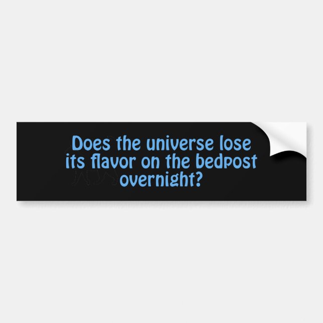 Does The Universe Lose Its Flavour Bumper Sticker (Front)