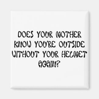 DOES YOUR MOTHER KNOW MAGNET