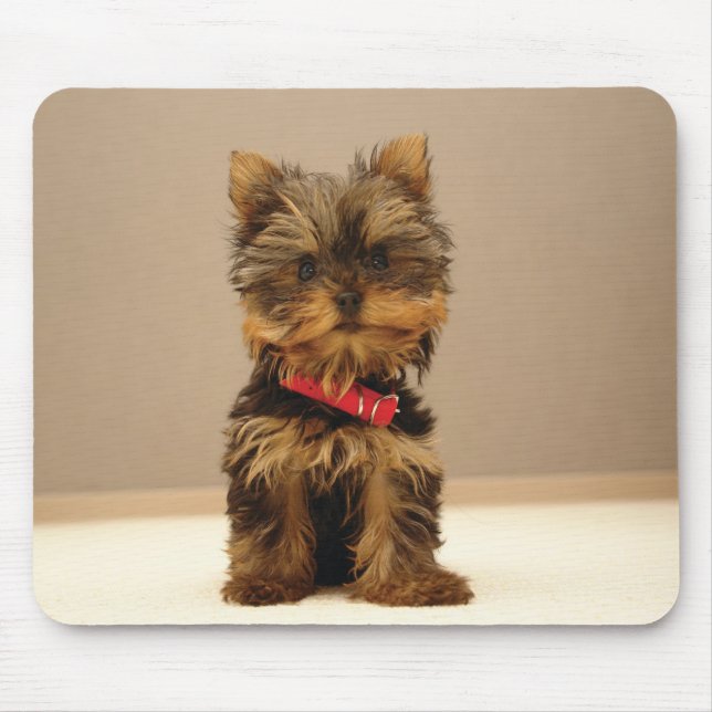 dog1 mouse mat (Front)