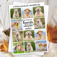 Dog 11 Photo Collage Modern Sympathy Pet Memorial