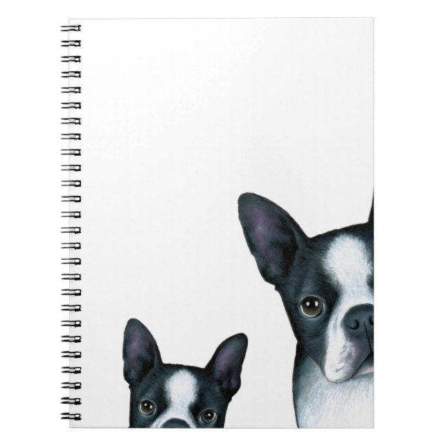 dog 128 Boston Terrier Notebook (Front)