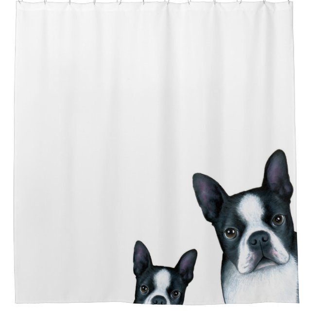 Dog 128 Boston Terrier Shower Curtain (Front)