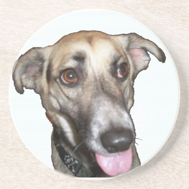 Dog 2 Coaster (Front)