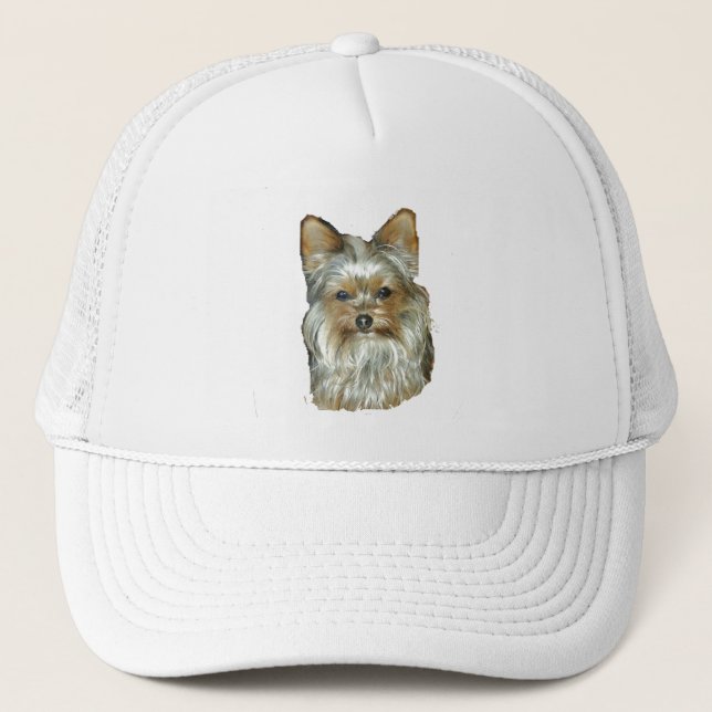 Dog 4, B, Yorkshire Terrier, Hat (Front)